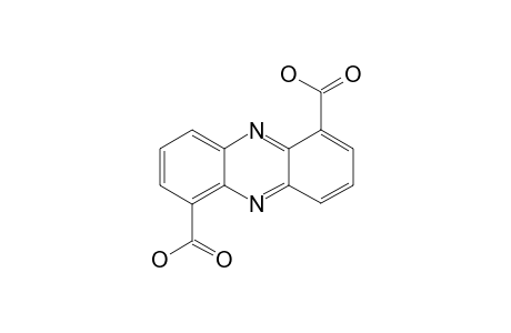PHENAZINE-1,6-DICARBOXYLIC_ACID