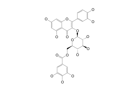 QUERCETIN-3-O-(6-BETA-O-GALLOYL-BETA-D-GLUCOPYRANOSIDE)