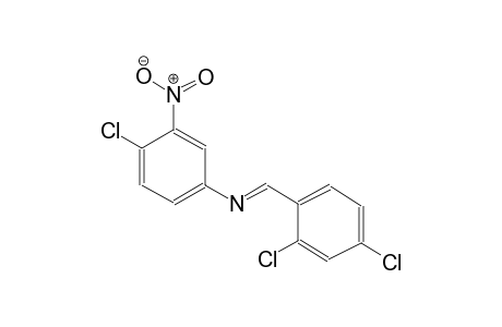 4-Chloro-N-[(E)-(2,4-dichlorophenyl)methylidene]-3-nitroaniline