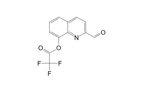 2-Formyl-8-hydroxyquinoline, trifluoroacetate