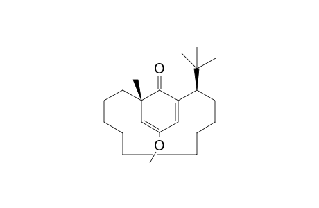 (1S,11R)-11-(tert-butyl)-14-methoxy-1-methylbicyclo[10.3.1]hexadeca-12,14-dien-16-one