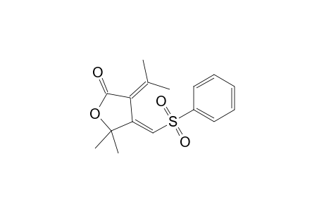 (4E)-4-(benzenesulfonylmethylene)-3-isopropylidene-5,5-dimethyl-tetrahydrofuran-2-one