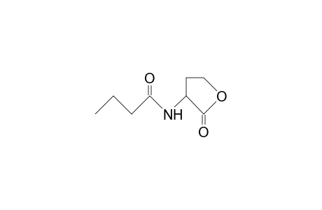 (+).alpha.(S)-Butyramido.gamma.-butyrolactone