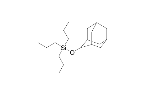 (2-Adamantyloxy)(tripropyl)silane