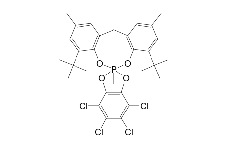 [CH(2)-(6-T-BU-4-ME-C6H2O)(2)]-P(ME)-(1,2-O2C6CL4);MAJOR-ISOMER