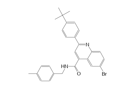 6-bromo-2-(4-tert-butylphenyl)-N-(4-methylbenzyl)-4-quinolinecarboxamide