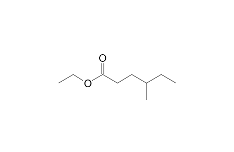 4-Methylhexanoic acid ethyl ester