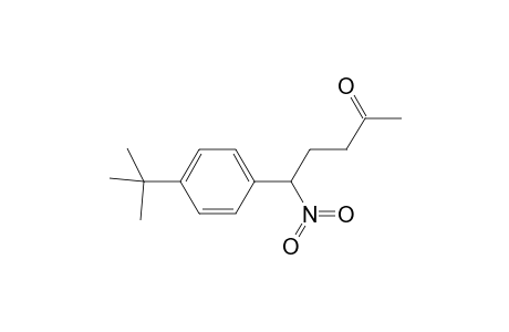 3-[p-(t-Butyl)]-3-nitropropyl Methyl Ketone