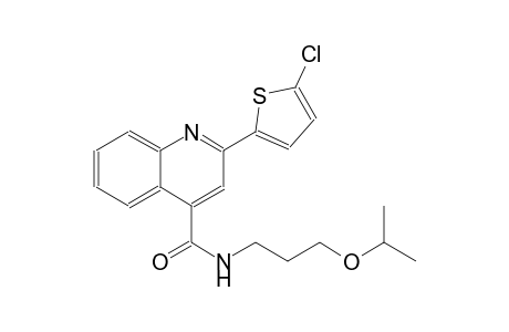4-quinolinecarboxamide, 2-(5-chloro-2-thienyl)-N-[3-(1-methylethoxy)propyl]-