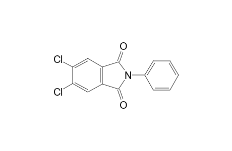 5,6-Dichloro-2-phenyl-1H-isoindole-1,3(2H)-dione