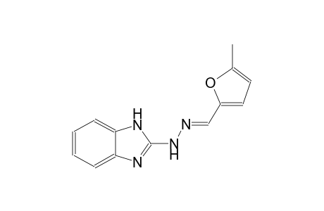 2-furancarboxaldehyde, 5-methyl-, 1H-benzimidazol-2-ylhydrazone
