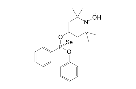 Phenylselenophosphonic 2,2,6,6-tetramethyl-1-oxyl-4-oxypiperidyl phenoxide
