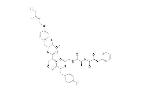 CONOIDEOCRELLIDE_D