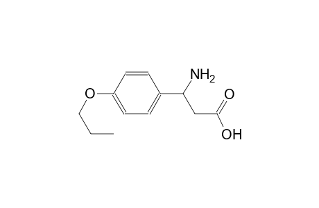 3-Amino-3-(4-propoxyphenyl)propanoic acid