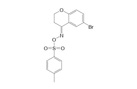 4H-1-Benzopyran-4-one, 6-bromo-2,3-dihydro-, O-[(4-methylphenyl)sulfonyl]oxime