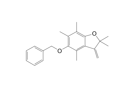 2,2,4,6,7-pentamethyl-3-methylene-5-phenylmethoxybenzofuran