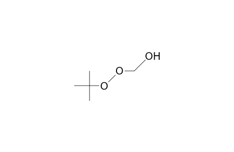 tert-Butyl-peroxy-methanol