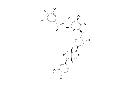 (+)-PINORESINOL-4-O-[6''-O-GALLOYL]-BETA-D-GLUCOPYRANOSIDE