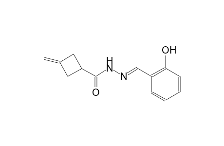 cyclobutanecarboxylic acid, 3-methylene-, 2-[(E)-(2-hydroxyphenyl)methylidene]hydrazide