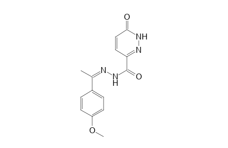 6-keto-N-[(Z)-1-(4-methoxyphenyl)ethylideneamino]-1H-pyridazine-3-carboxamide