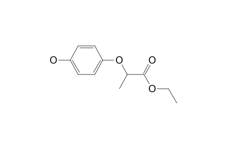 Fenoxaprop-ethyl-M/artifact