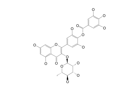 4'-O-GALLOYL-MYRICETIN-3-O-ALPHA-L-RHAMNOPYRANOSIDE