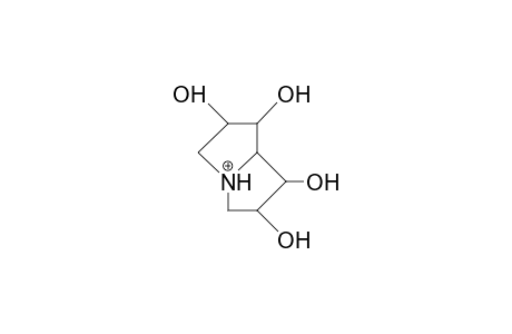 1S,2R,6R,7S-1,2,6,7-Tetrahydroxy-pyrrolizidinium cation