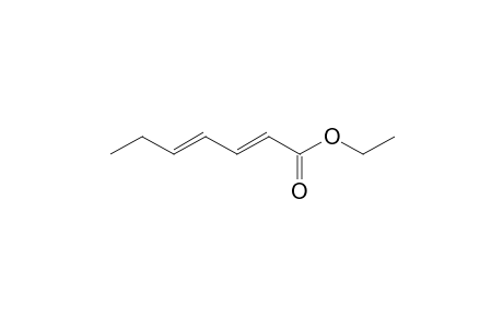 ethyl (2E,4E)-hepta-2,4-dienoate