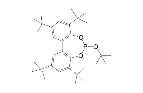 3,3',5,5'-tetrakis(t-Butyl)-1,1'-biphenyl-2,2'-diyl - (t-Butyl) Phosphite