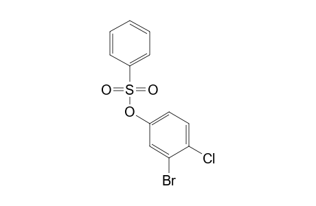 BENZENESULFONIC ACID, 3-BROMO-4-CHLOROPHENYL ESTER