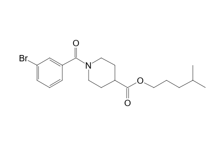 Isonipecotic acid, N-(3-bromobenzoyl)-, isohexyl ester