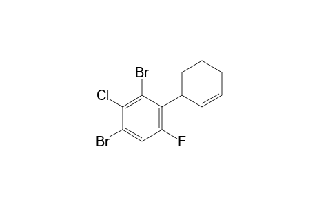 2',4'-dibromo-3'-chloro-6'-fluoro-1,2,3,4-tetrahydro-1,1'-biphenyl