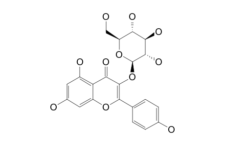 ASTRAGALIN;KAEMPFEROL-3-O-BETA-GLUCOPYRANOSIDE