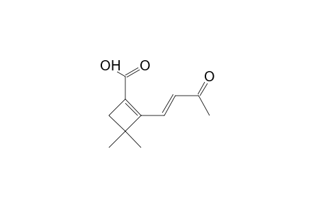 1-Buten-3-one, 1-(2-carboxyl-4,4-dimethylcyclobutenyl)-