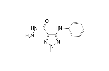 5-Phenylamino-2H-1,2,3-triazol-4-carbohydrazide