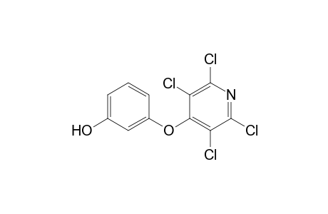 3-[(2,3,5,6-Tetrachloropyridin-4-yl)oxy]phenol
