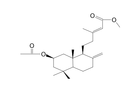 2B-ACETOXYLABDA-8(17), 13E-DIEN-15-OIC ACID