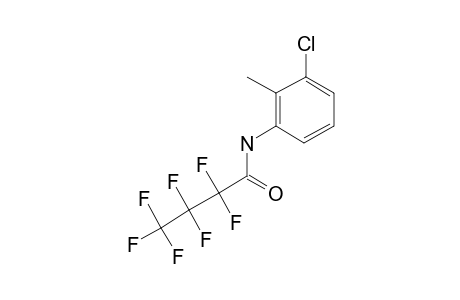 3-Chloro-o-toluidine, N-heptafluorobutyryl-