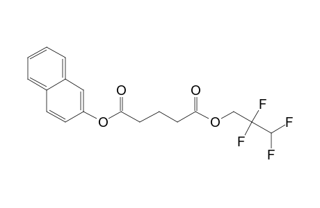 Glutaric acid, 2,2,3,3-tetrafluoropropyl 2-naphthyl ester