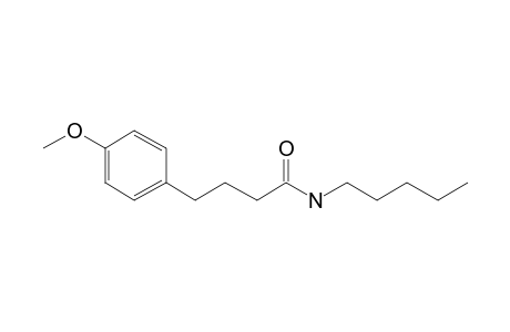 Butyramide, 4-(4-methoxyphenyl)-N-pentyl-