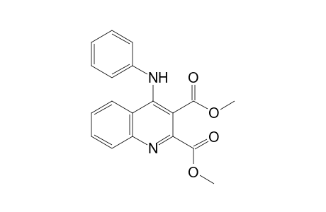 Dimethyl 4-(phenylamino)quinoline-2,3-dicarboxylate