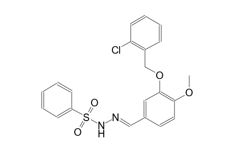 N'-((E)-{3-[(2-chlorobenzyl)oxy]-4-methoxyphenyl}methylidene)benzenesulfonohydrazide