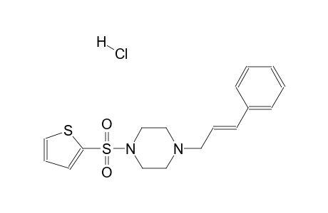 1-cinnamyl-4-(thiophen-2-ylsulfonyl)piperazine hydrochloride