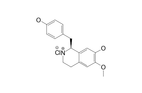 (S)-[1-(13)C]-COCLAURINE-HYDROCHLORIDE