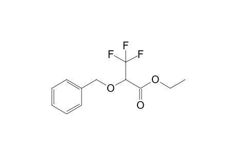 2-Benzoxy-3,3,3-trifluoro-propionic acid ethyl ester