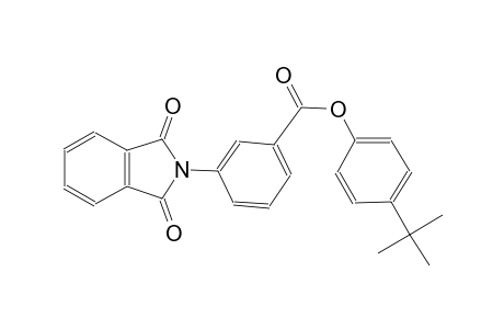 benzoic acid, 3-(1,3-dihydro-1,3-dioxo-2H-isoindol-2-yl)-, 4-(1,1-dimethylethyl)phenyl ester