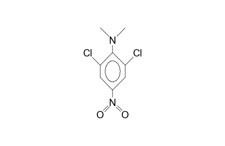 2,6-Dichloro-N,N-dimethyl-4-nitro-aniline