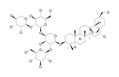 ARDISICRENOSIDE-B;#2;3-BETA-O-[BETA-D-XYLOPYRANOSYL-(1->2)-[BETA-D-GLUCOPYRANOSYL-(1->4)-[BETA-D-GLUCOPYRANOSYL-(1->2)]-ALPHA-L-ARABINOPYRANOSYL]-13-BETA,28-EP