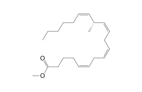 Methyl (13R,5Z,8Z,11Z,14Z)-13-methyleicosa-5,8,11,14-tetraenoate