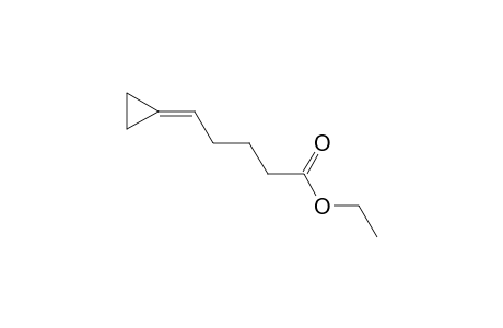 Pentanoic acid, 5-cyclopropylidene-, ethyl ester